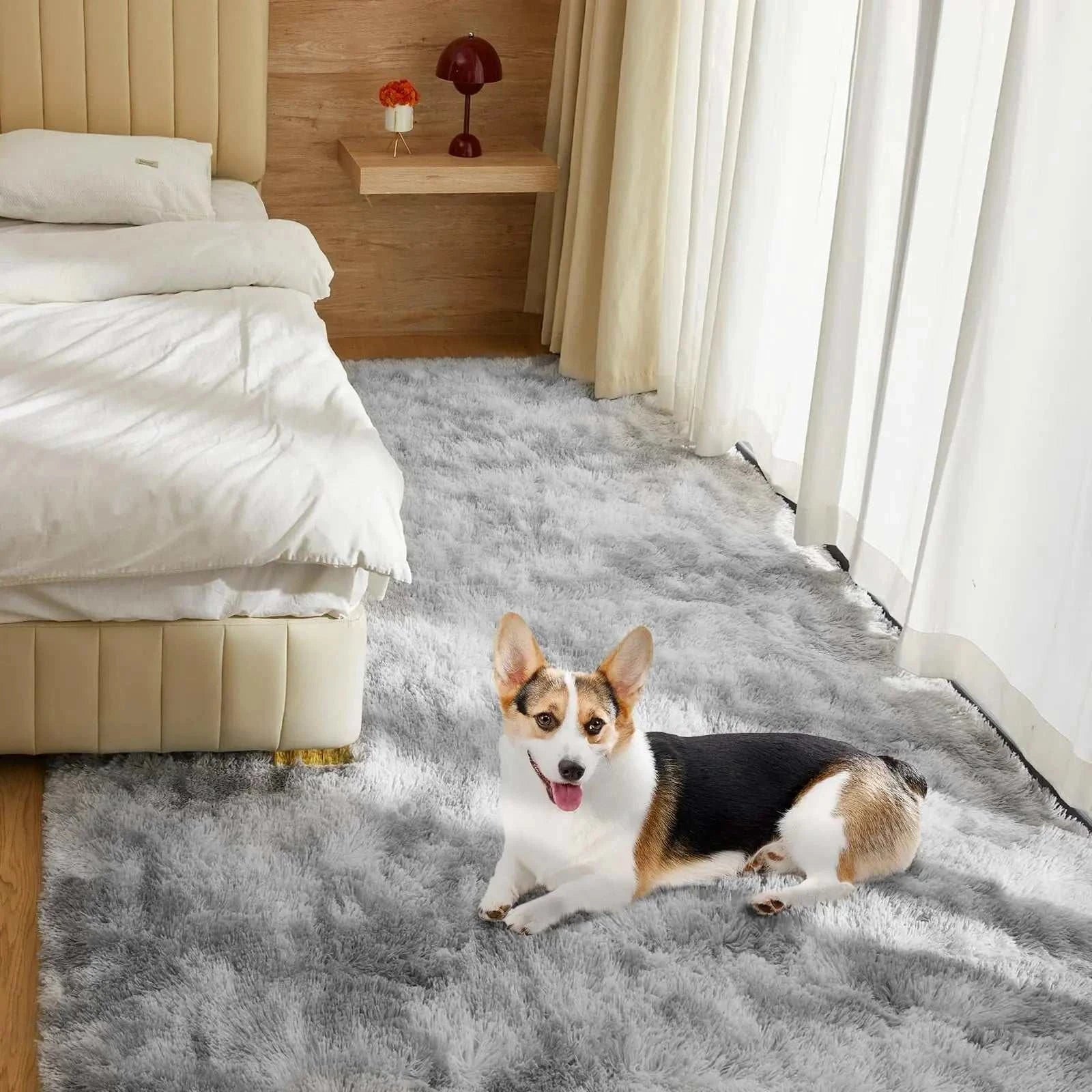 Plush Carpet for Living Room & Bedroom
