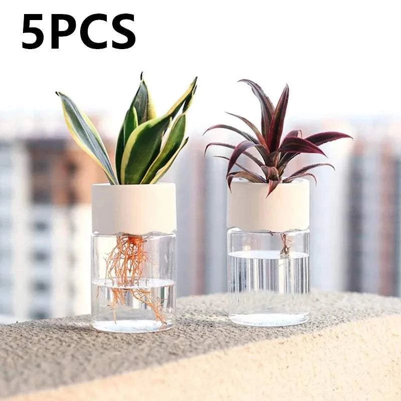 1–5PCS Transparent Hydroponic Plant Vases
