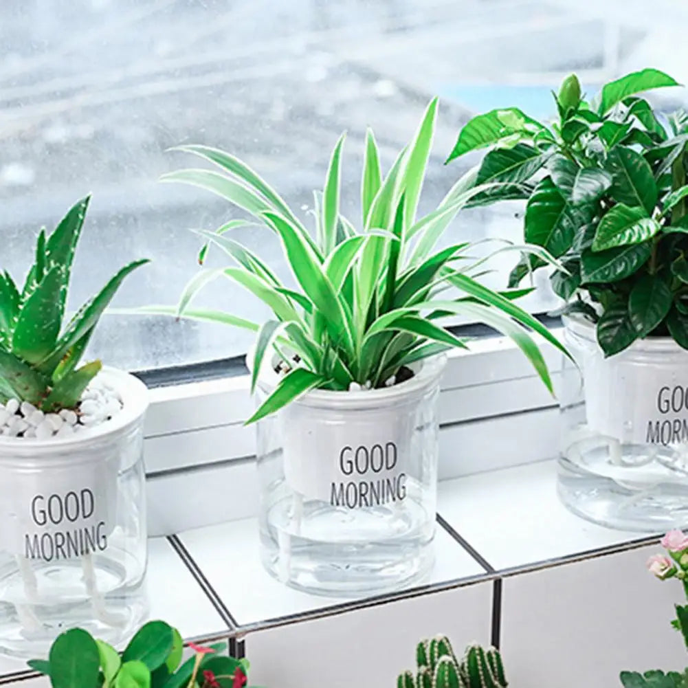 https://ae-pic-a1.aliexpress-media.com/kf/S4373d623bd7d4c81ad3e42694c3b1e83n.jpg