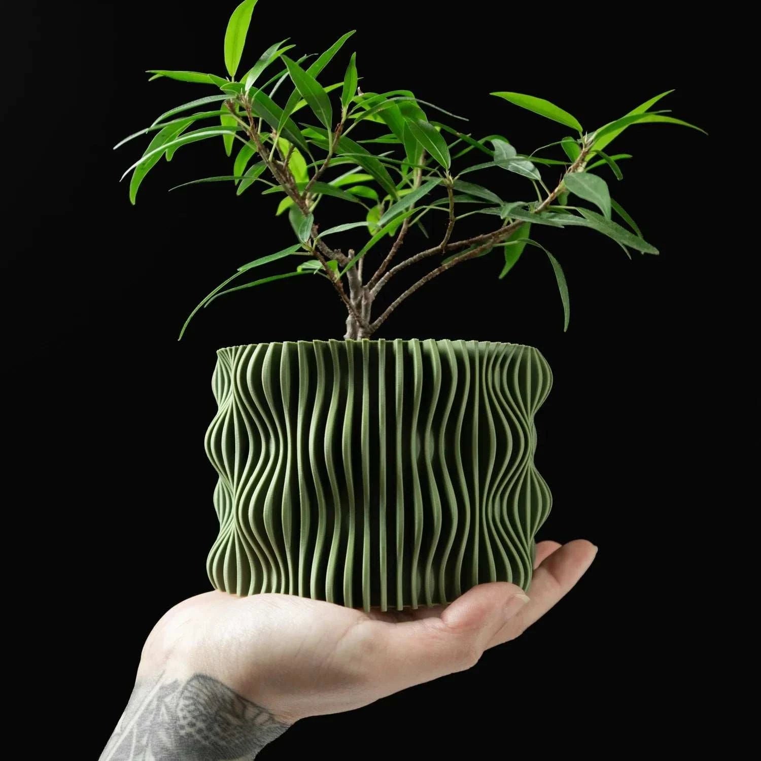 Muxel 3D Printed Eco-Friendly Plant Pot