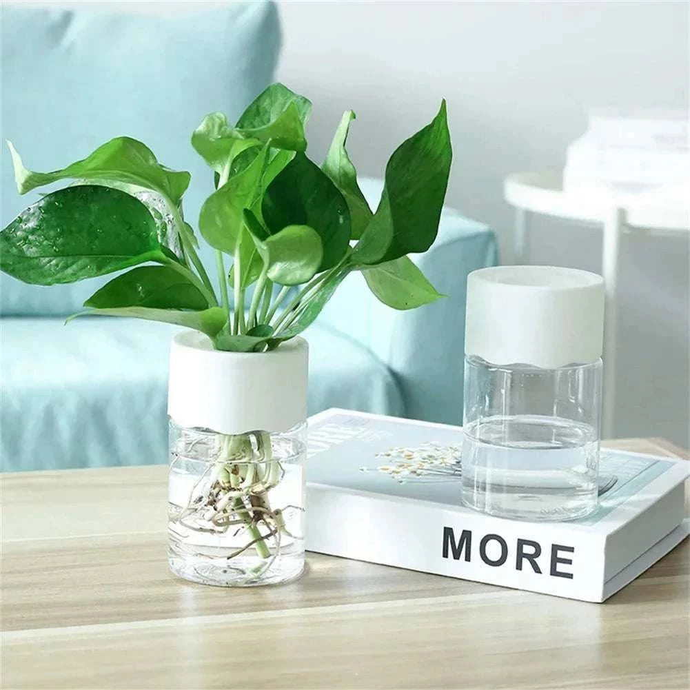 1–5PCS Transparent Hydroponic Plant Vases