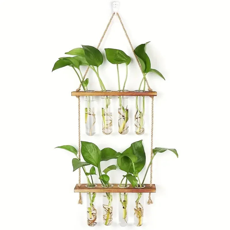 https://ae-pic-a1.aliexpress-media.com/kf/Sd906a6673ce44fa795066b629db5e794h.jpg